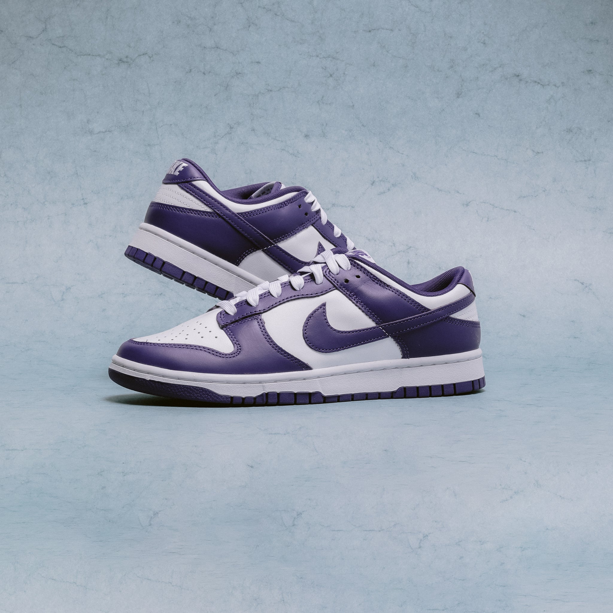 Nike Dunk Low Retro 