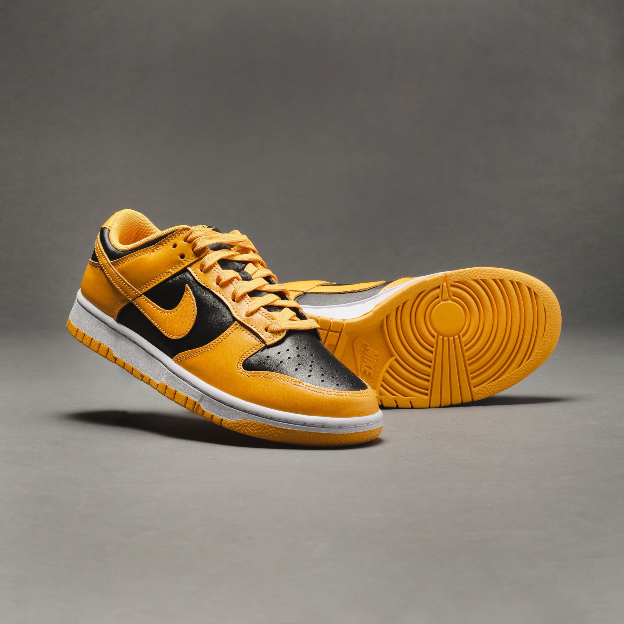 Nike Dunk Low Retro 