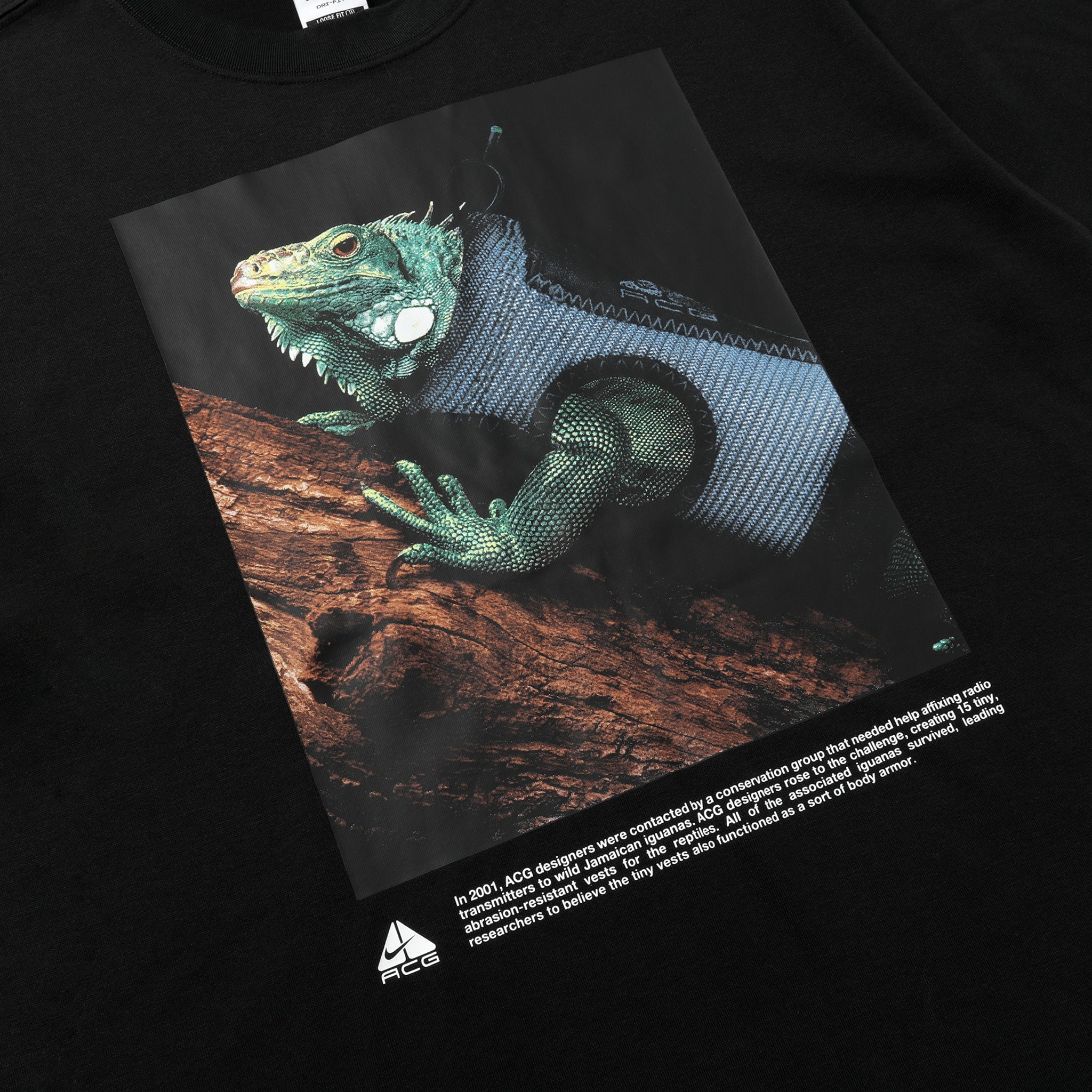 Tシャツ・カットソー Nike SS25 ACG IGUANA TEE (HJ0889 010) HJ0889-010] Nike ACG Iguana Vest T-Shirt (Black) – The