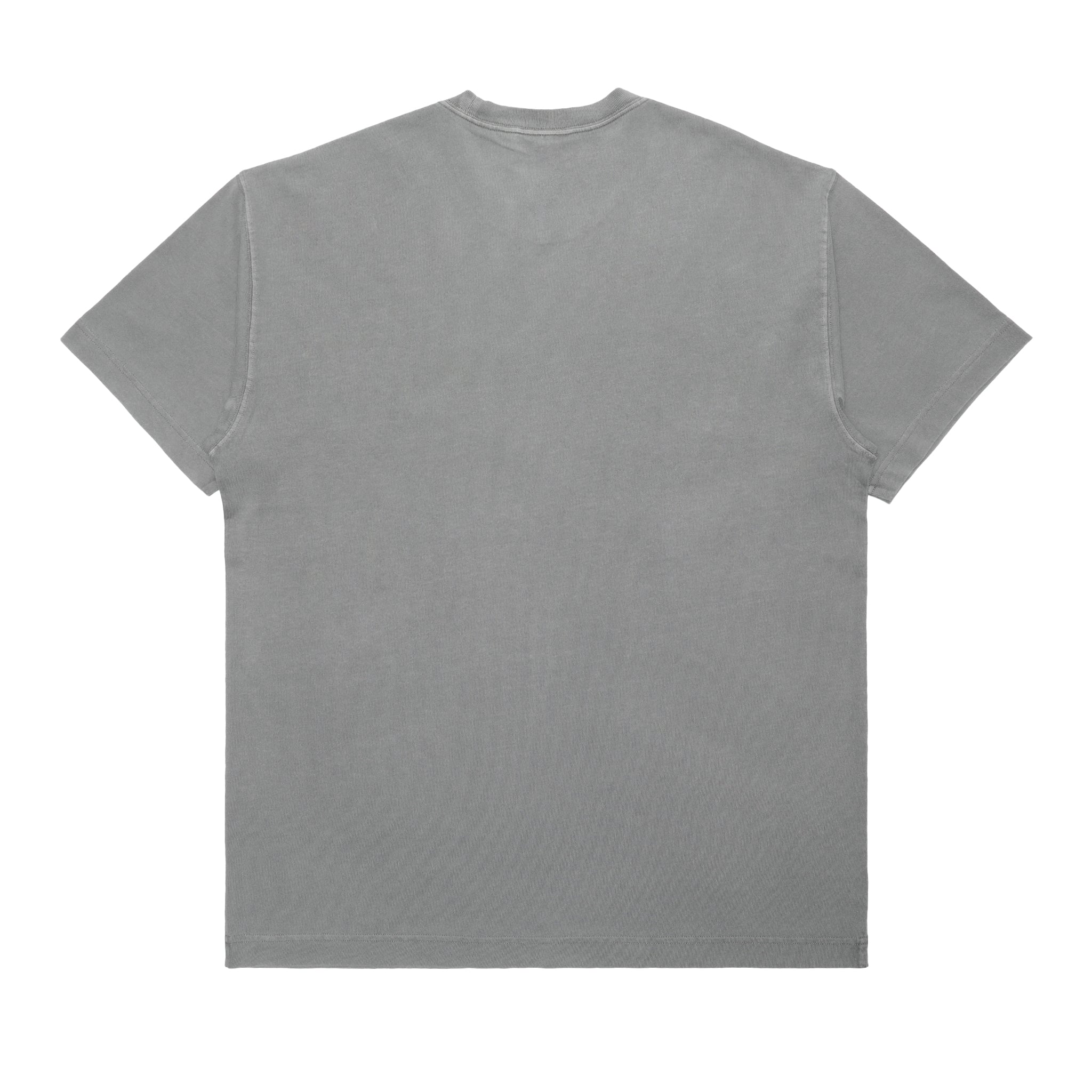 I029949_2LR_GD] Carhartt WIP Nelson T-Shirt (Yosemite) – The