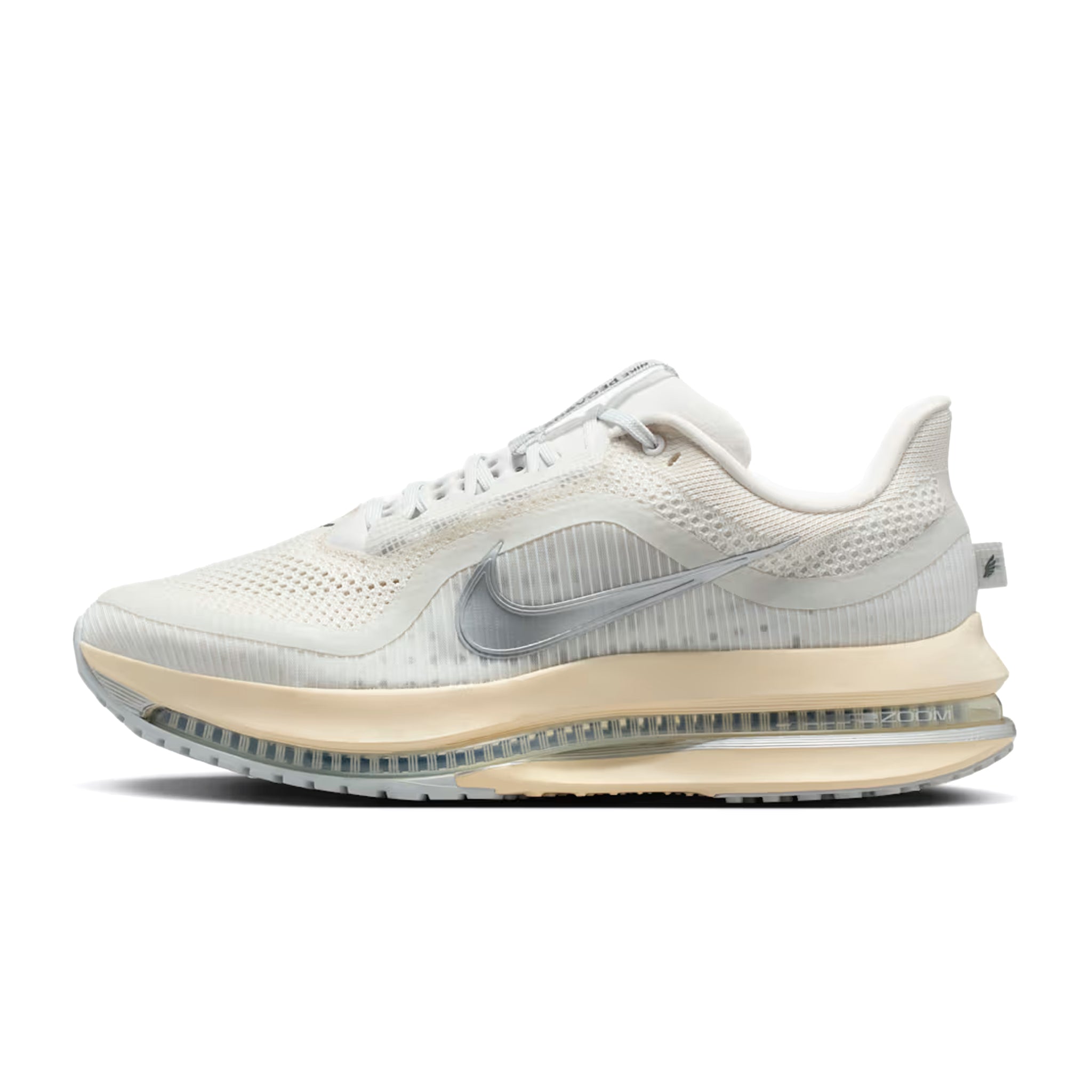 ARIA pe509ニアミント IQ0307-094] Nike Pegasus Premium 'Running is Mental' (Platinum