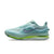 Nike Pegasus Premium 'Cannon'